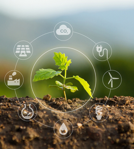 Sustainability